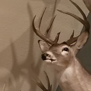 Meet your Posher, Jon